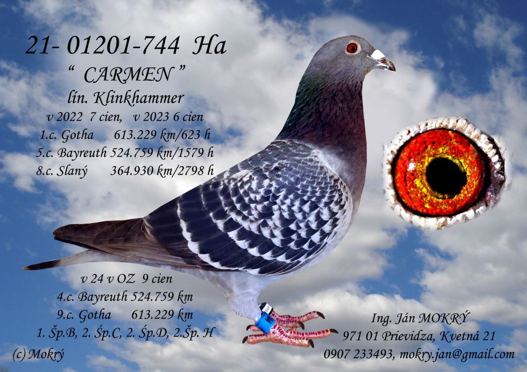21-01201-744or