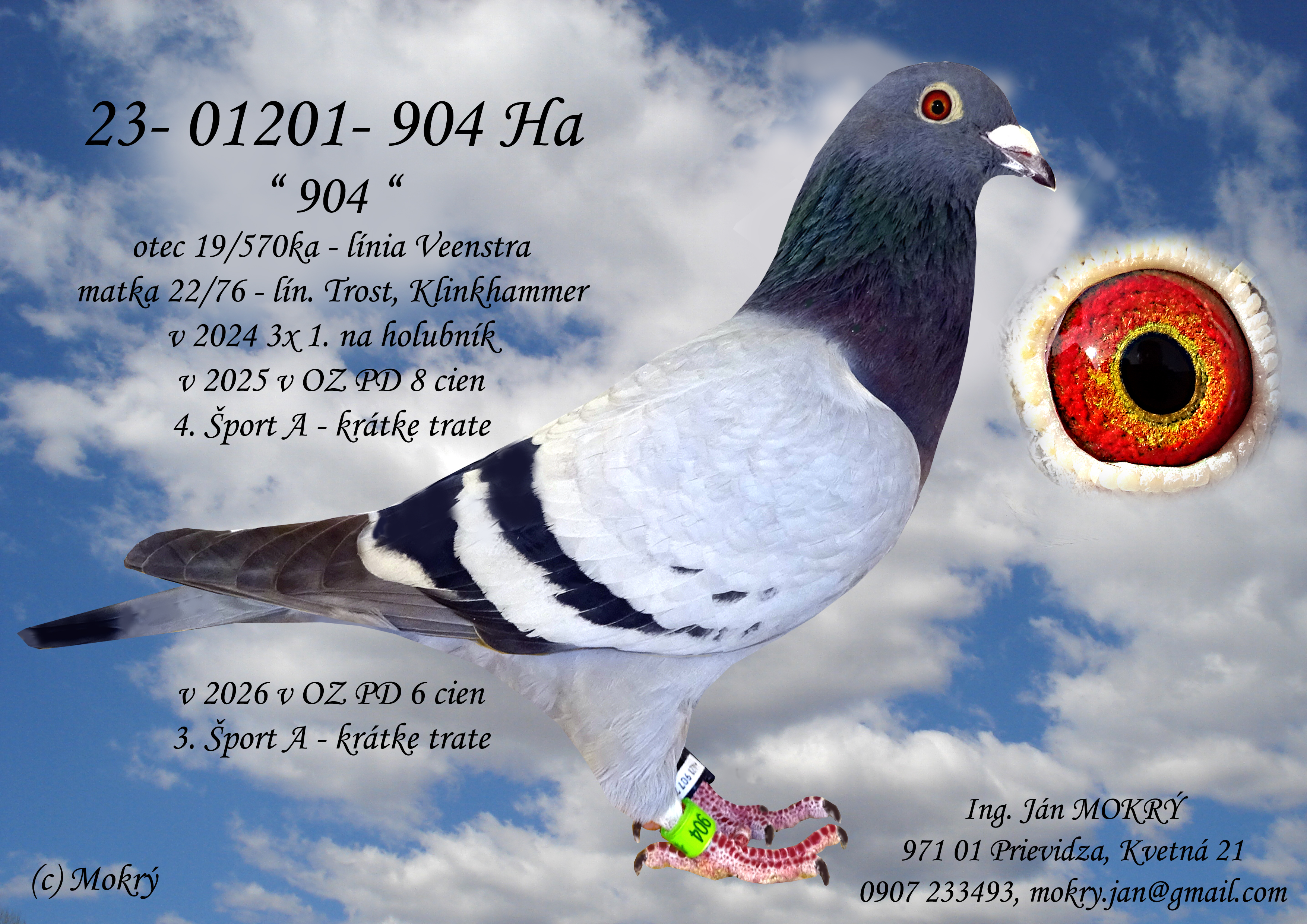23-01201-904o