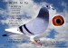 24-01201-16or